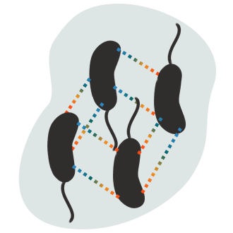 Cartoon of four cells connected with dotted lines on a grey spot